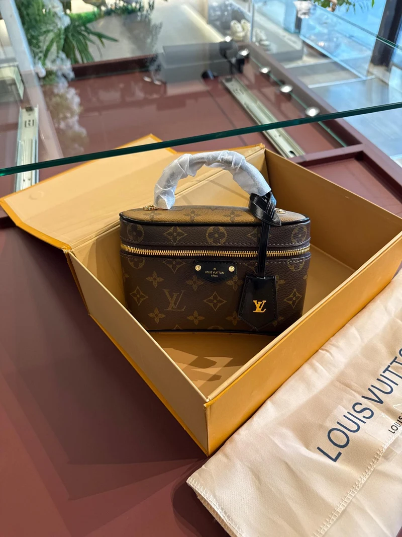 Louıs Vuıtton Vanity Chain Pouch
